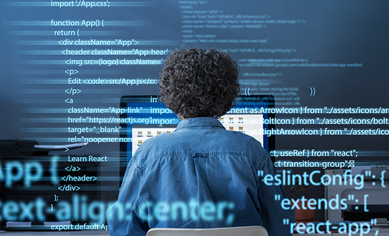 Custom Web Development