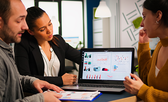 Web Portal Development